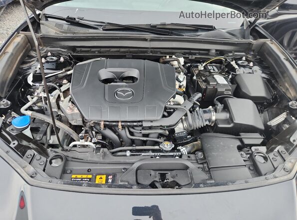 3MVDMBCM5SM800842 2025 MAZDA CX30 Black VIN կոդի պիտակի տեսք