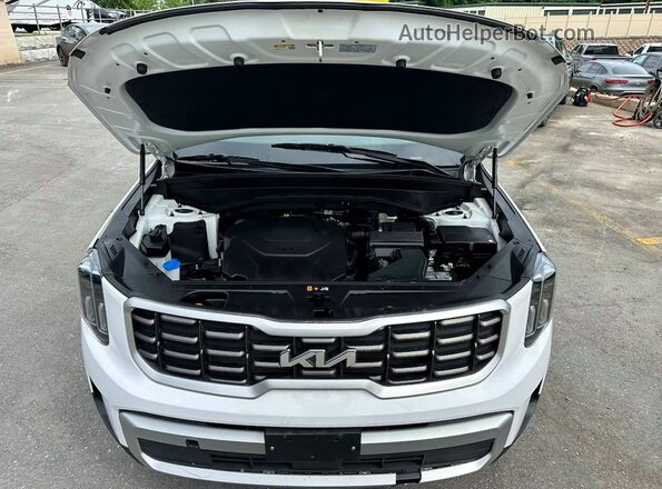 5XYP64GC4SG639970 2025 KIA TELLURIDE White Widok z tyłu