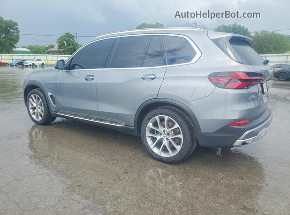 5UX13EU02R9S54075 2024 BMW X5 Серый Задняя правая четверть