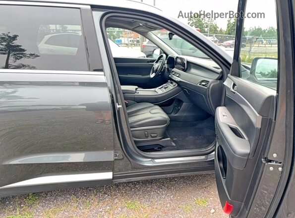 KM8R3DHE5MU213008 2021 HYUNDAI PALISADE Gray Widok z tyłu