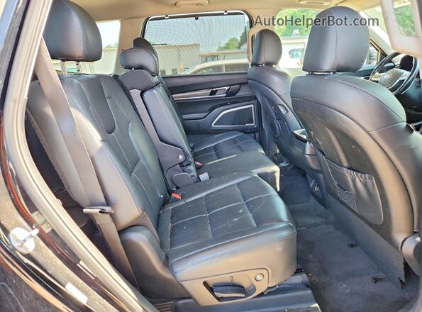 5XYP34HC9LG028938 2020 KIA TELLURIDE Black Engine compartment view