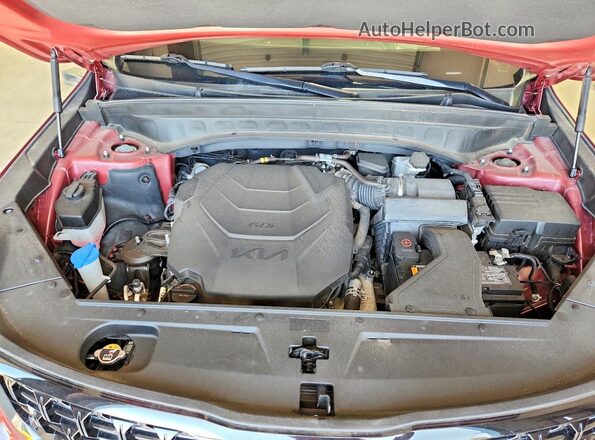 5XYP5DGC9RG455783 2024 KIA TELLURIDE Red VIN կոդի պիտակի տեսք