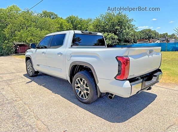 5TFMA5DB1SX239431 2025 TOYOTA TUNDRA White Przód prawy
