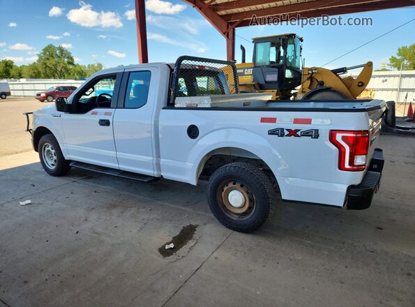 1FTEX1E81HKC67427 2017 FORD F150 White უკანა მარჯვენა