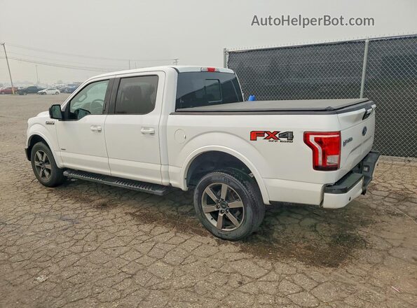 1FTEW1EG4HFB95299 2017 FORD F150 White Tył prawy