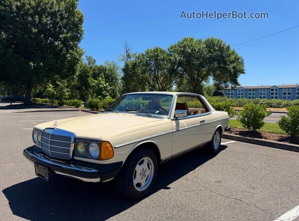 12305312008767 1978 MERCEDES-BENZ 280-CLASS Cream Tył prawy