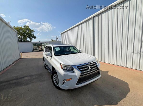 JTJBM7FX6H5163354 2017 LEXUS GX White Հետևի ձախ