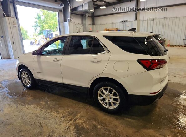 3GNAXUEG0RL278045 2024 CHEVROLET EQUINOX White Հետևի աջ