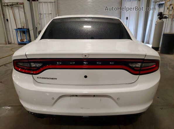 2C3CDXAG6KH547508 2019 DODGE CHARGER White Rear view