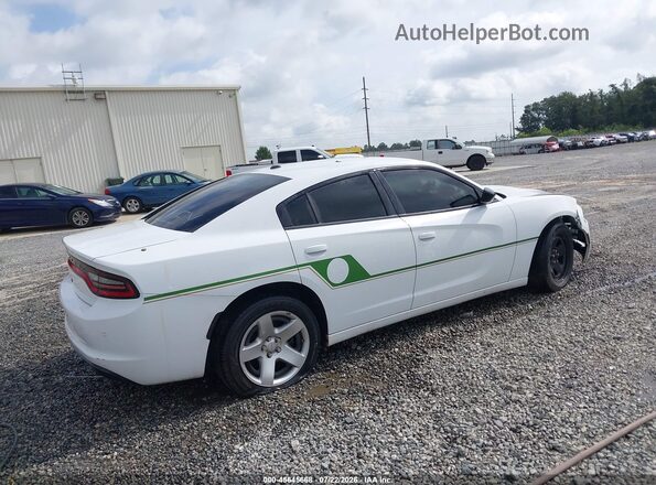 2C3CDXAT5PH533748 2023 DODGE CHARGER White Tył prawy