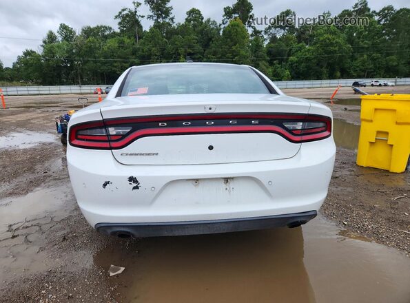 2C3CDXAT6KH592414 2019 DODGE CHARGER White Rear view