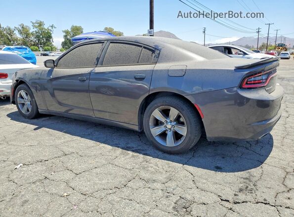 2C3CDXBG0GH199016 2016 DODGE CHARGER Gray Rear left