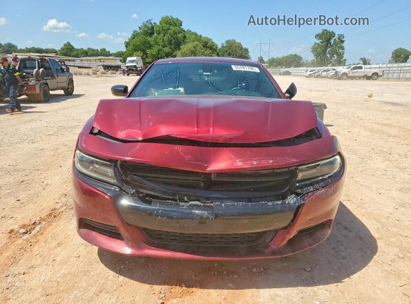 2C3CDXBG1MH519441 2021 DODGE CHARGER Maroon წინა ხედი
