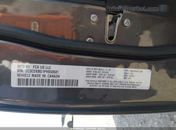 2C3CDXBG1PH550581 2023 DODGE CHARGER Gray Vista del compartimento del motor