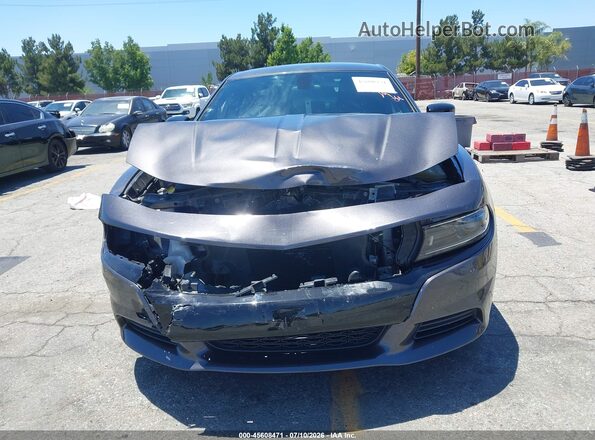 2C3CDXBG1PH566019 2023 DODGE CHARGER Серый Вид задней части салона