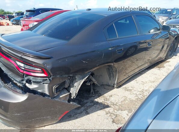 2C3CDXBG2KH541803 2019 DODGE CHARGER Gray Tył prawy