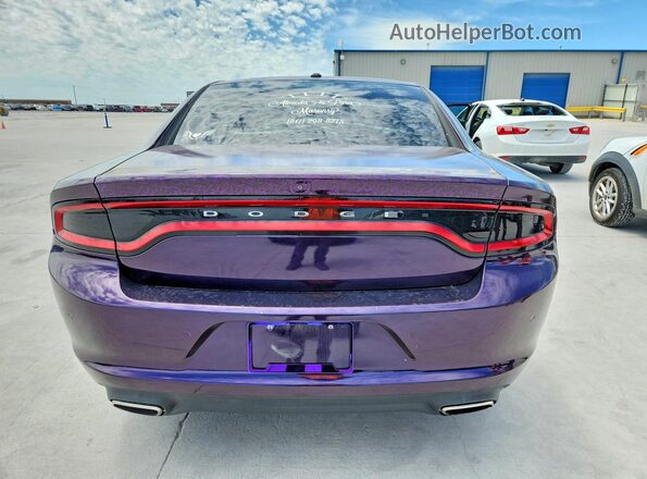 2C3CDXBG3LH117127 2020 DODGE CHARGER Purple Rear view