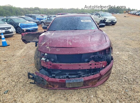2C3CDXBG4PH519177 2023 DODGE CHARGER Бордовый Вид спереди