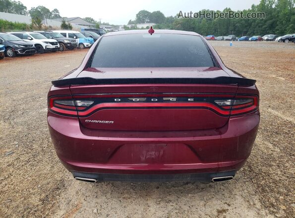 2C3CDXBG4PH519177 2023 DODGE CHARGER Бордовый Вид сзади