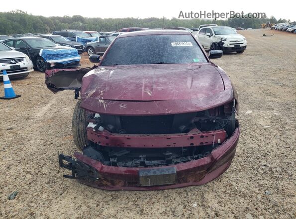 2C3CDXBG4PH519177 2023 DODGE CHARGER Бордовый Вид наклейки с VIN-кодом