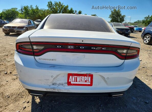 2C3CDXBG4PH530065 2023 DODGE CHARGER White Вид ззаду