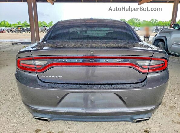 2C3CDXBG5KH711460 2019 DODGE CHARGER Gray Вид ззаду