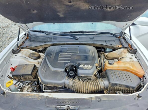 2C3CDXBG5MH659749 2021 DODGE CHARGER White Սալոնի հետևի տեսք
