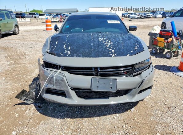 2C3CDXBG5PH656547 2023 DODGE CHARGER Gray Դիմացի տեսք