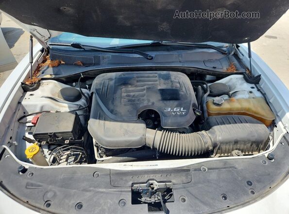 2C3CDXBG7KH760238 2019 DODGE CHARGER Белый Вид задней части салона