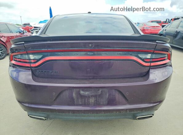 2C3CDXBG7LH241529 2020 DODGE CHARGER Фиолетовый Вид сзади