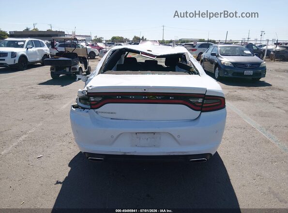 2C3CDXBG7PH506178 2023 DODGE CHARGER Белый 