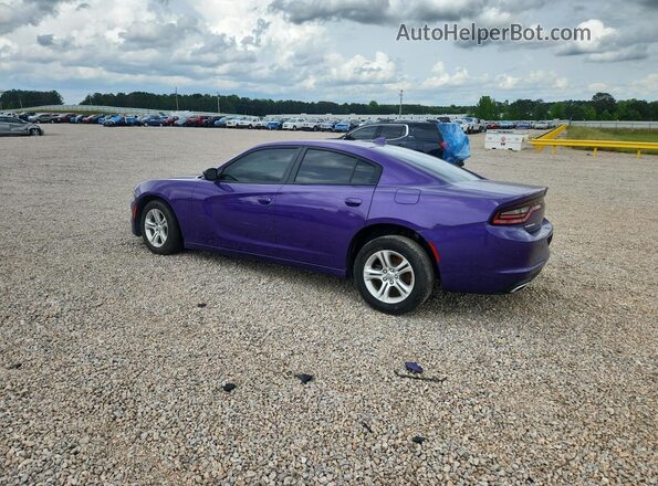 2C3CDXBG7PH686875 2023 DODGE CHARGER Фиолетовый Задняя левая четверть