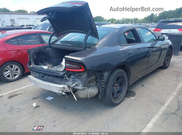 2C3CDXBG8KH711341 2019 DODGE CHARGER Серый Задняя правая четверть