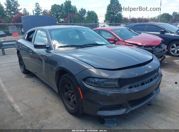 2C3CDXBG8KH711341 2019 DODGE CHARGER Серый Вид задней части салона