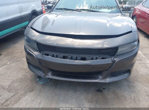 2C3CDXBG8KH711341 2019 DODGE CHARGER Серый 