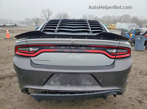 2C3CDXBG9KH720615 2019 DODGE CHARGER Silver Rear view