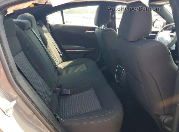 2C3CDXBG9PH640013 2023 DODGE CHARGER Gray უკანა სავარძლების ხედი