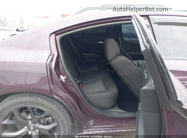 2C3CDXBGXLH248295 2020 DODGE CHARGER Фиолетовый Вид наклейки с VIN-кодом