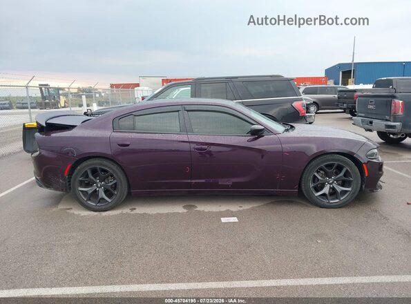 2C3CDXBGXLH248295 2020 DODGE CHARGER Фиолетовый Вид задней части салона