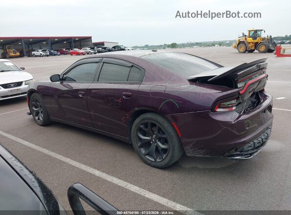 2C3CDXBGXLH248295 2020 DODGE CHARGER Фиолетовый Панорамный вид салона 360°