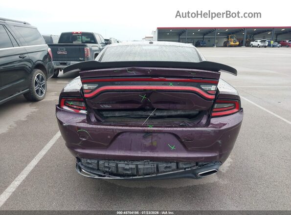 2C3CDXBGXLH248295 2020 DODGE CHARGER Фиолетовый 