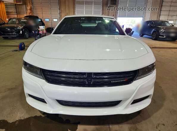 2C3CDXBGXPH528823 2023 DODGE CHARGER White Դիմացի տեսք