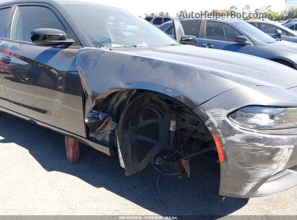 2C3CDXBGXPH603939 2023 DODGE CHARGER Gray Widok z przodu