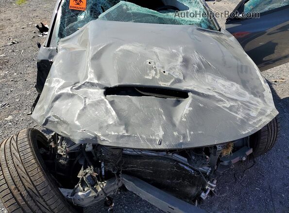 2C3CDXCT0PH608501 2023 DODGE CHARGER Серый Вид задней части салона