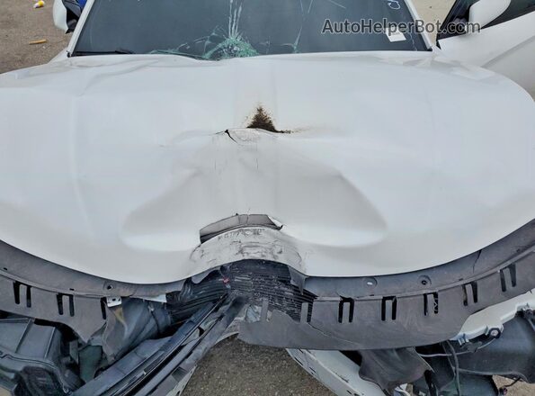 2C3CDXCT5JH233602 2018 DODGE CHARGER Белый Вид задней части салона