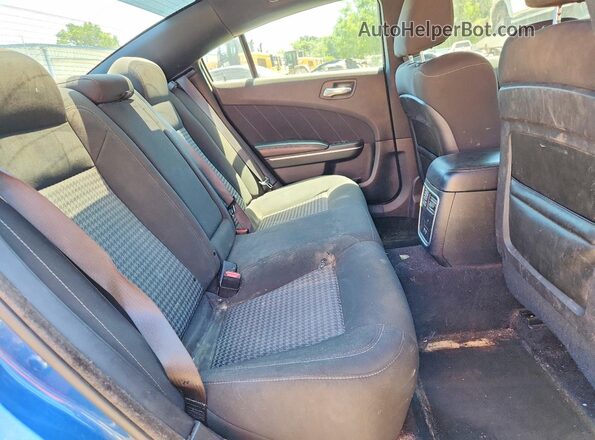 2C3CDXCT7MH565058 2021 DODGE CHARGER Blue Հետևի նստատեղերի տեսք