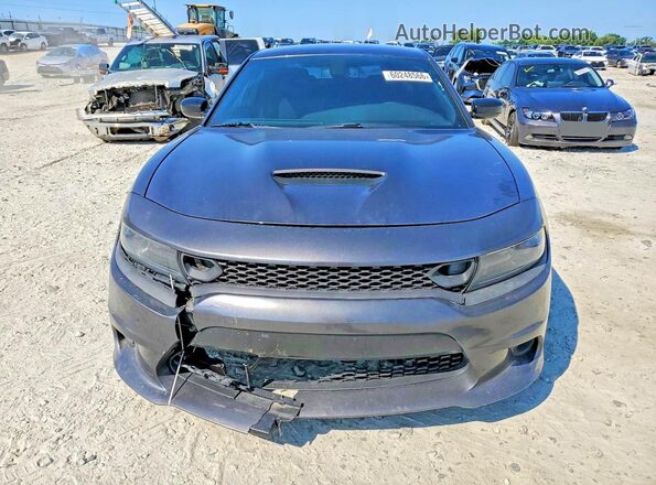 2C3CDXCTXLH133496 2020 DODGE CHARGER Серый Вид спереди