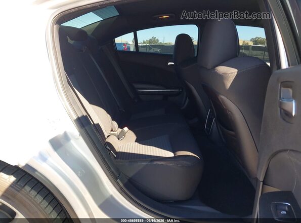 2C3CDXCTXLH188451 2020 DODGE CHARGER Silver VIN sticker view