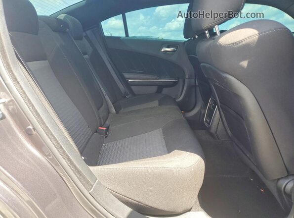 2C3CDXCTXLH200307 2020 DODGE CHARGER Серый Вид задних сидений