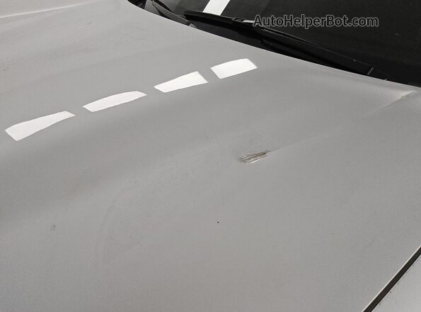 2C3CDXGJ2MH612263 2021 DODGE CHARGER Silver სალონის 360-გრადუსიანი ხედი